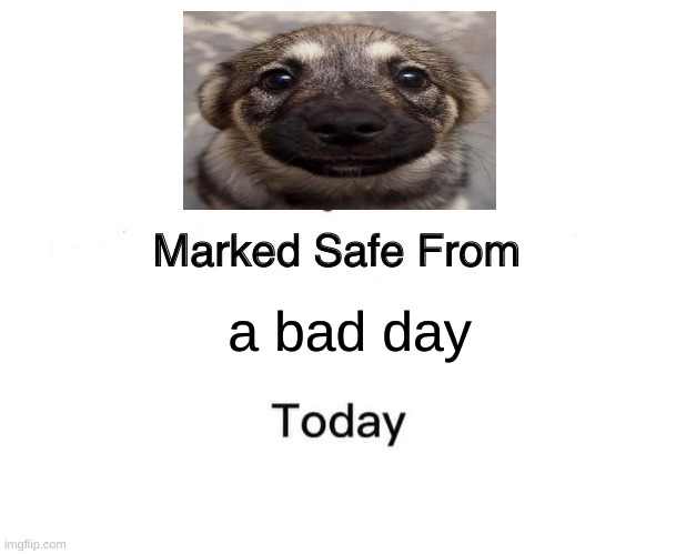 doggo | a bad day | image tagged in memes,marked safe from | made w/ Imgflip meme maker