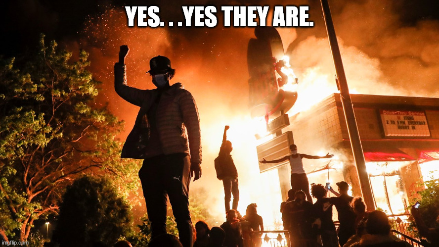 BLM Riots | YES. . .YES THEY ARE. | image tagged in blm riots | made w/ Imgflip meme maker