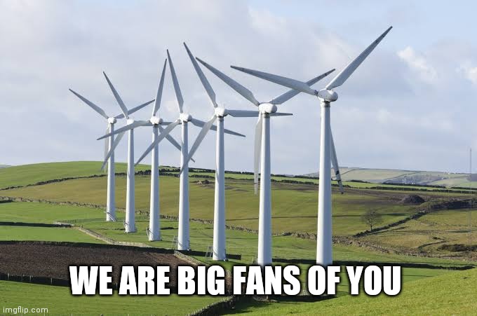 WE ARE BIG FANS OF YOU | image tagged in eyeroll,puns | made w/ Imgflip meme maker