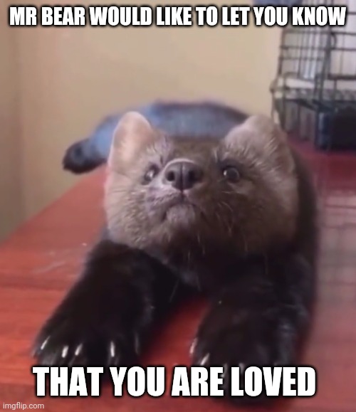 He wuvs uuuuuu | MR BEAR WOULD LIKE TO LET YOU KNOW; THAT YOU ARE LOVED | made w/ Imgflip meme maker