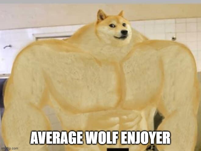 Buff Doge | AVERAGE WOLF ENJOYER | image tagged in buff doge | made w/ Imgflip meme maker