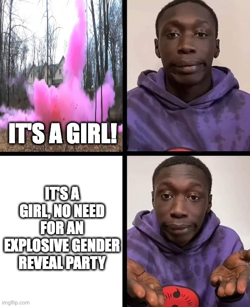 khaby lame meme | IT'S A GIRL! IT'S A GIRL, NO NEED FOR AN EXPLOSIVE GENDER REVEAL PARTY | image tagged in khaby lame meme,memes | made w/ Imgflip meme maker