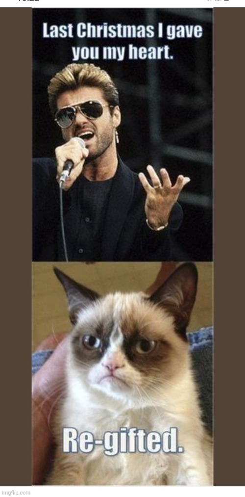 image tagged in grumpy cat,rules | made w/ Imgflip meme maker