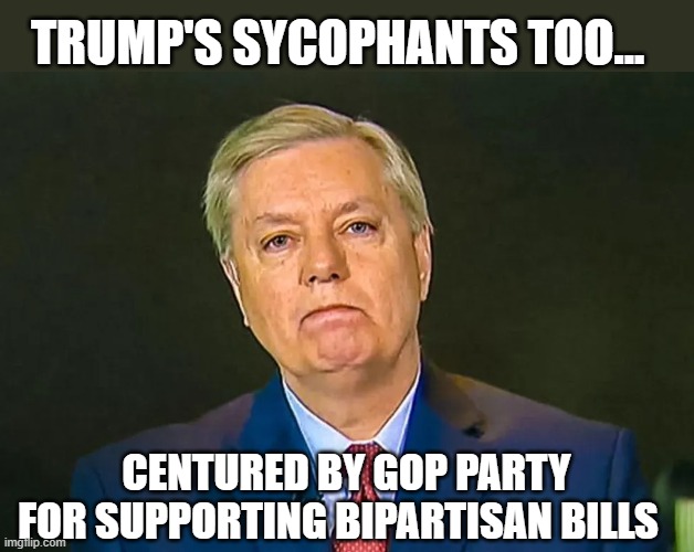 Trump's GOP cult turns on Lindsey Graham | TRUMP'S SYCOPHANTS TOO... CENTURED BY GOP PARTY
FOR SUPPORTING BIPARTISAN BILLS | image tagged in lindsey graham,gop corruption,infrastrucure bill,trump,political censures,gop cult | made w/ Imgflip meme maker