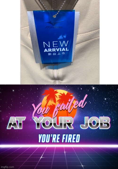 You failed at your job you're fired | image tagged in you failed at your job you're fired | made w/ Imgflip meme maker