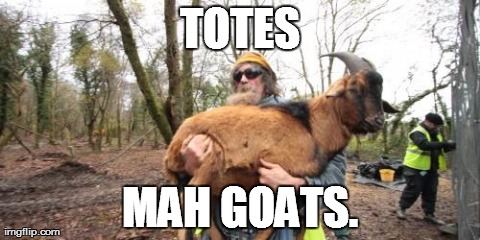 Goat Herder Totes Goat | image tagged in goat herder,sprint | made w/ Imgflip meme maker