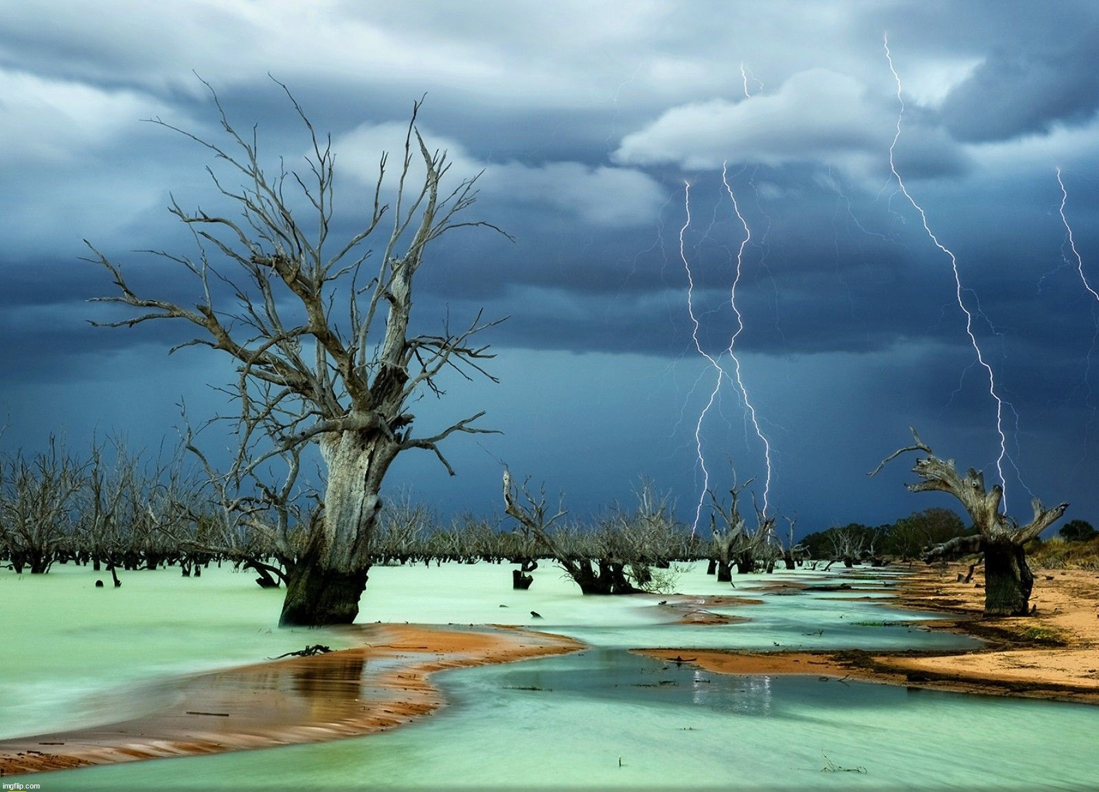 image tagged in awesome | made w/ Imgflip meme maker