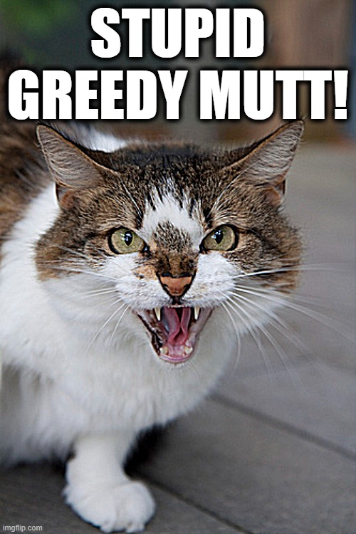 STUPID GREEDY MUTT! | made w/ Imgflip meme maker