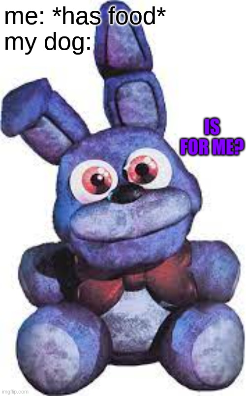 bonnie plush | me: *has food*
my dog:; IS FOR ME? | image tagged in bonnie plush,fnaf,five nights at freddys,five nights at freddy's | made w/ Imgflip meme maker