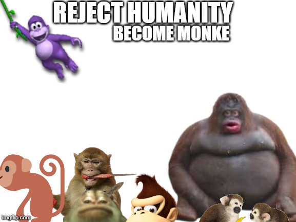 normal monke meme | REJECT HUMANITY; BECOME MONKE | image tagged in monke,bonzi buddy,donkey kong | made w/ Imgflip meme maker