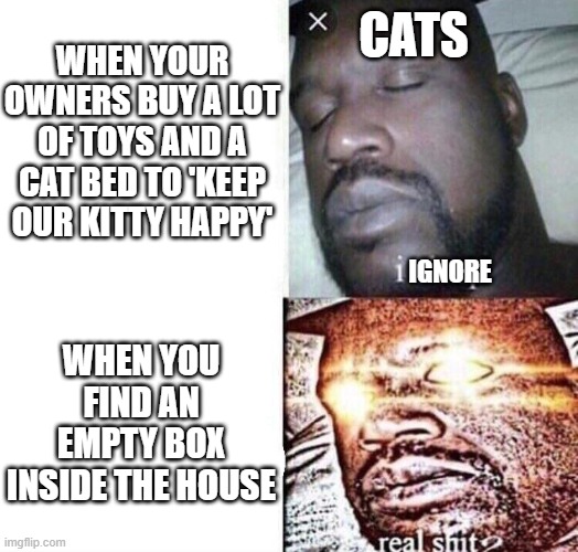 i sleep real shit | WHEN YOUR OWNERS BUY A LOT OF TOYS AND A CAT BED TO 'KEEP OUR KITTY HAPPY'; CATS; IGNORE; WHEN YOU FIND AN EMPTY BOX INSIDE THE HOUSE | image tagged in i sleep real shit,boxes,cats,cat,box,memes | made w/ Imgflip meme maker