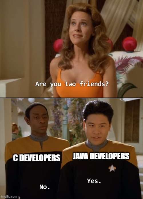 Are you friends? | JAVA DEVELOPERS; C DEVELOPERS | image tagged in are you friends | made w/ Imgflip meme maker