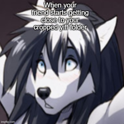 Cropped Yiff | When your friend starts getting close to your cropped yiff folder | image tagged in yiff,furry | made w/ Imgflip meme maker