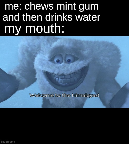 Welcome to the himalayas | me: chews mint gum and then drinks water; my mouth: | image tagged in welcome to the himalayas,monsters inc,memes,funny | made w/ Imgflip meme maker