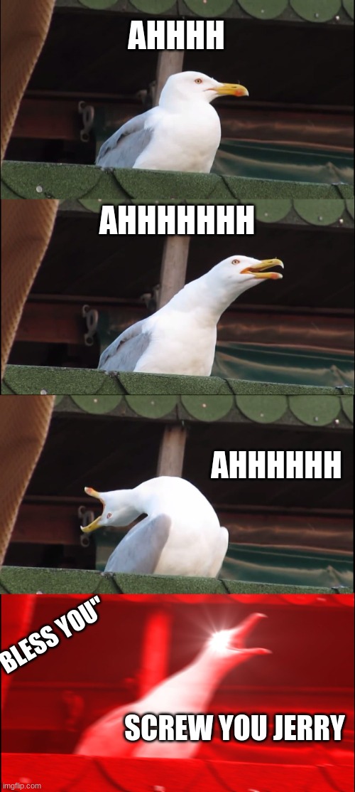 Inhaling Seagull Meme | AHHHH; AHHHHHHH; AHHHHHH; "BLESS YOU"; SCREW YOU JERRY | image tagged in memes,inhaling seagull | made w/ Imgflip meme maker