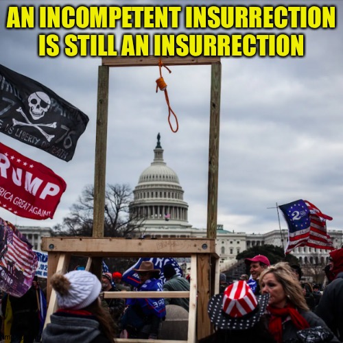 Insurrection, obviously | AN INCOMPETENT INSURRECTION IS STILL AN INSURRECTION | image tagged in capitol riot gallows noose pence | made w/ Imgflip meme maker