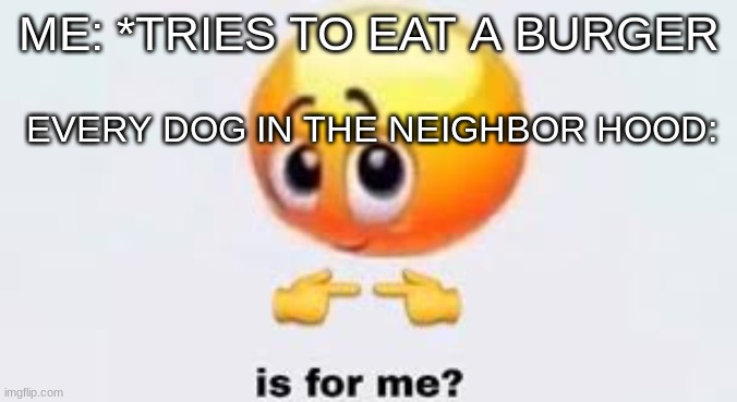 based on a true story on how i got trampled by the neighbor hood dogs | EVERY DOG IN THE NEIGHBOR HOOD:; ME: *TRIES TO EAT A BURGER | image tagged in is for me | made w/ Imgflip meme maker