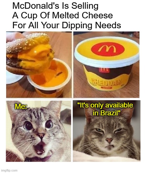 NOW I HAVE A SAD | McDonald's Is Selling A Cup Of Melted Cheese 
For All Your Dipping Needs; "It's only available         in Brazil"; Me: | image tagged in food,funny cats | made w/ Imgflip meme maker