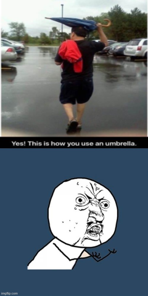 definitely! | image tagged in memes,y u no,umbrella,bruh moment | made w/ Imgflip meme maker