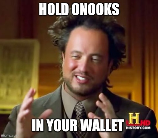 Onooks, ooks, ethereum, coin, crypto, bitcoin, Trade | HOLD ONOOKS; IN YOUR WALLET | image tagged in onooks,etherum,coin,cryptocurrency,crypto trade,tranding | made w/ Imgflip meme maker