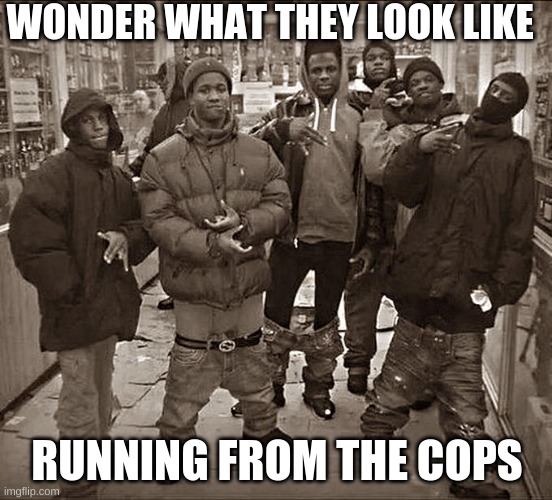 All My Homies Hate | WONDER WHAT THEY LOOK LIKE; RUNNING FROM THE COPS | image tagged in all my homies hate | made w/ Imgflip meme maker