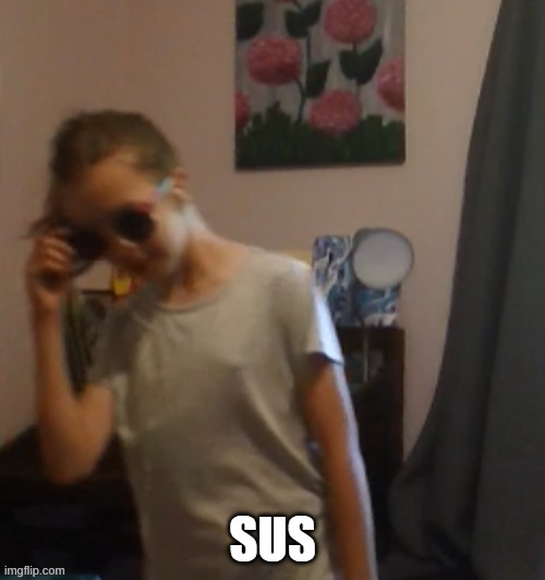 Lily sus | image tagged in lily sus | made w/ Imgflip meme maker