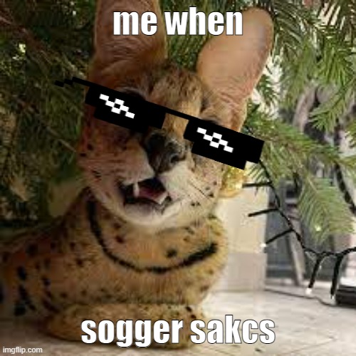 me when sogger sakcs | me when; sogger sakcs | image tagged in sogga | made w/ Imgflip meme maker