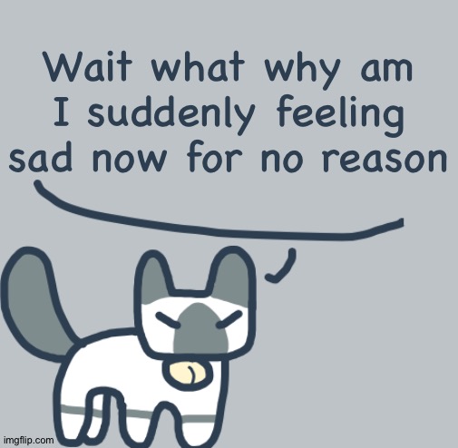 Cat | Wait what why am I suddenly feeling sad now for no reason | image tagged in cat | made w/ Imgflip meme maker