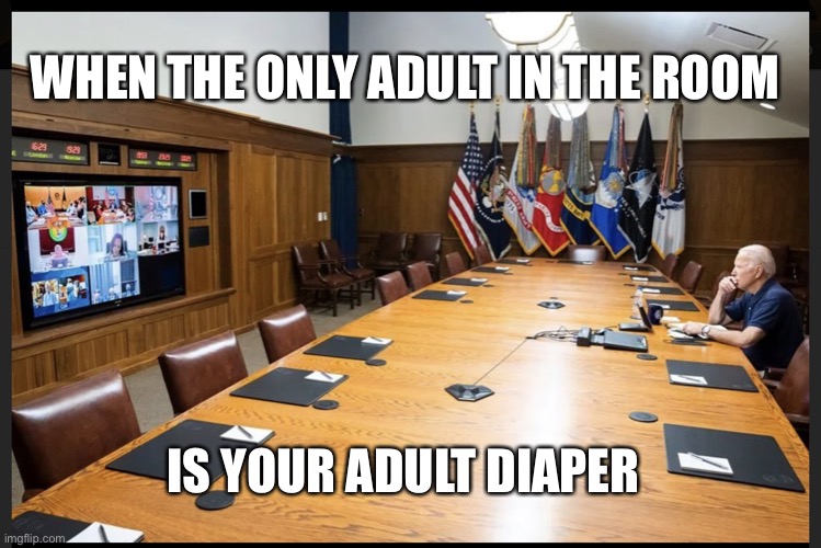 The only Adult in the room | WHEN THE ONLY ADULT IN THE ROOM; IS YOUR ADULT DIAPER | image tagged in biden alone,adult,diapers | made w/ Imgflip meme maker