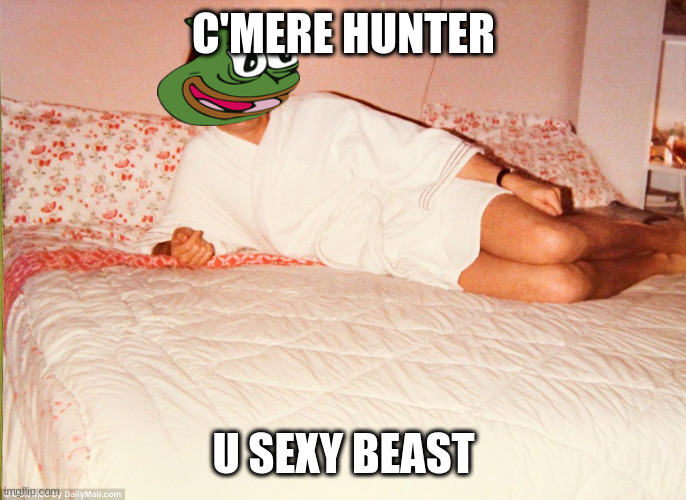 what is a meme but a parody | C'MERE HUNTER; U SEXY BEAST | image tagged in trump robe hey girl | made w/ Imgflip meme maker