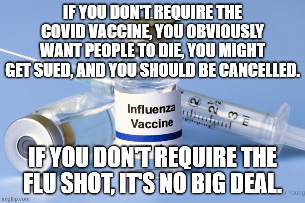 Vaccine Double Standards | IF YOU DON'T REQUIRE THE COVID VACCINE, YOU OBVIOUSLY WANT PEOPLE TO DIE, YOU MIGHT GET SUED, AND YOU SHOULD BE CANCELLED. IF YOU DON'T REQUIRE THE FLU SHOT, IT'S NO BIG DEAL. | image tagged in covid,flu,double standards | made w/ Imgflip meme maker