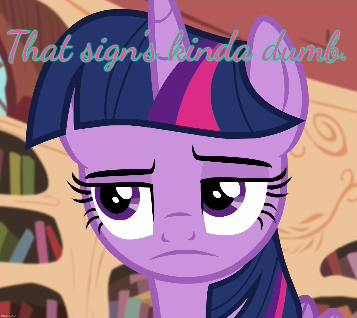 Unamused Twilight Sparkle (MLP) | That sign's kinda dumb. | image tagged in unamused twilight sparkle mlp | made w/ Imgflip meme maker