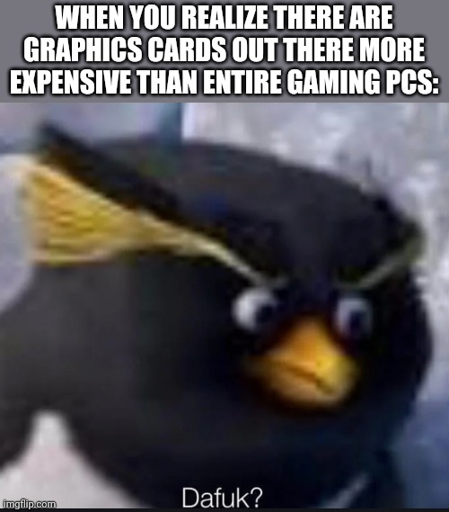 ...why? | WHEN YOU REALIZE THERE ARE GRAPHICS CARDS OUT THERE MORE EXPENSIVE THAN ENTIRE GAMING PCS: | image tagged in dafuk,pc gaming,gaming | made w/ Imgflip meme maker