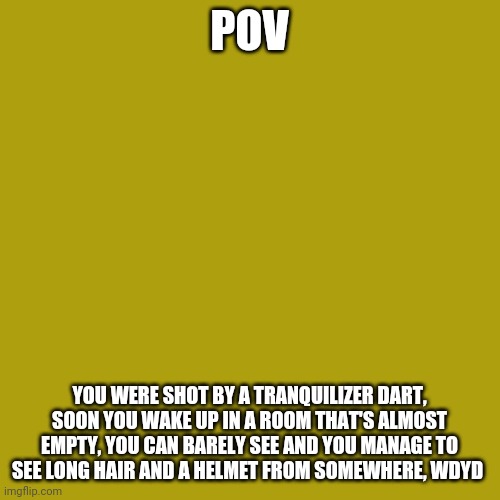 Totally not inspired from writing I made | POV; YOU WERE SHOT BY A TRANQUILIZER DART, SOON YOU WAKE UP IN A ROOM THAT'S ALMOST EMPTY, YOU CAN BARELY SEE AND YOU MANAGE TO SEE LONG HAIR AND A HELMET FROM SOMEWHERE, WDYD | image tagged in memes,blank transparent square | made w/ Imgflip meme maker