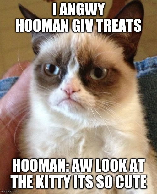 Grumpy Cat Meme | I ANGWY HOOMAN GIV TREATS; HOOMAN: AW LOOK AT THE KITTY ITS SO CUTE | image tagged in memes,grumpy cat | made w/ Imgflip meme maker