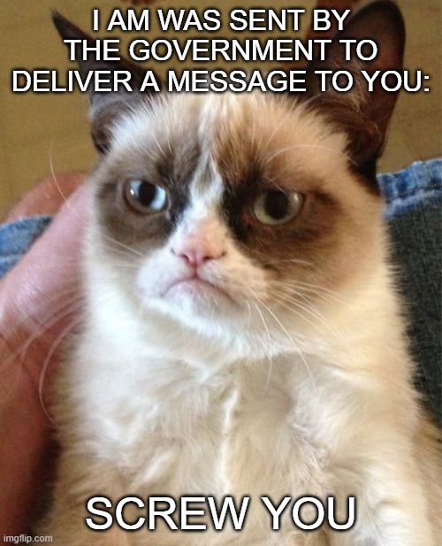 Grumpy Cat | I AM WAS SENT BY THE GOVERNMENT TO DELIVER A MESSAGE TO YOU:; SCREW YOU | image tagged in memes,grumpy cat | made w/ Imgflip meme maker