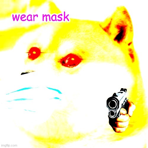pov: you didn't wear a mask | image tagged in doge,mask,wear a mask | made w/ Imgflip meme maker