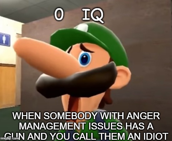 0 iq | WHEN SOMEBODY WITH ANGER MANAGEMENT ISSUES HAS A GUN AND YOU CALL THEM AN IDIOT | image tagged in 0 iq | made w/ Imgflip meme maker
