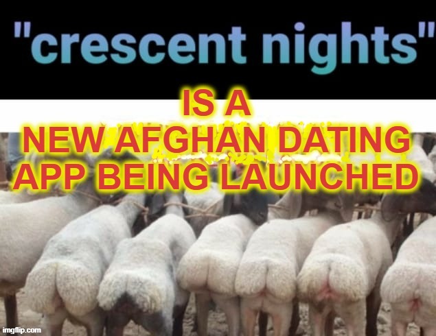 Crescent Nights | image tagged in speed dating | made w/ Imgflip meme maker