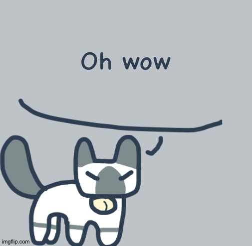 Cat | Oh wow | image tagged in cat | made w/ Imgflip meme maker
