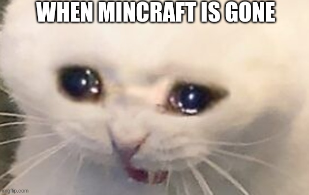 MINCRAFT IS MY LIFE!!!!!!!!!!!!!!!!!!!!!!!!!!!!!!!!!!!!!!!!!!!!!!!!!!!!!!!!!!!!!!!!!!!!!!!!!!!!!! | WHEN MINCRAFT IS GONE | image tagged in sad cat | made w/ Imgflip meme maker