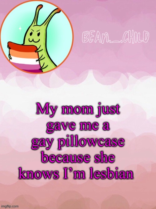 She’s finally excepting that fact that I’m gay | My mom just gave me a gay pillowcase because she knows I’m lesbian | image tagged in beans lesbo temp hehehehe | made w/ Imgflip meme maker
