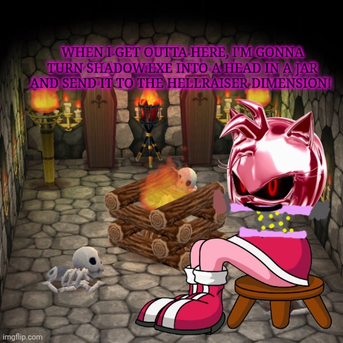 Half of Amy Rose... | WHEN I GET OUTTA HERE, I'M GONNA TURN SHADOW.EXE INTO A HEAD IN A JAR AND SEND IT TO THE HELLRAISER DIMENSION! | image tagged in animal crossing basement,robot head on hedgehog legs,amy rose,shadowexe,death comes unexpectedly | made w/ Imgflip meme maker