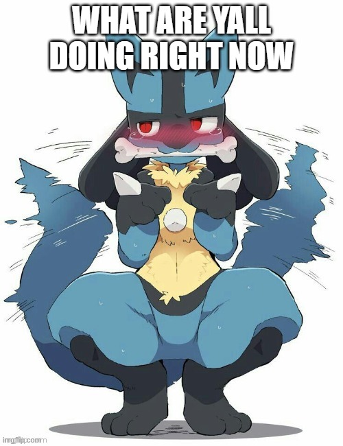 Lucario | WHAT ARE YALL DOING RIGHT NOW | image tagged in lucario | made w/ Imgflip meme maker