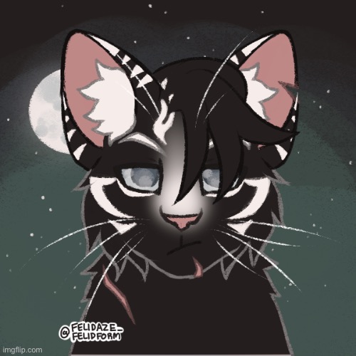 Warrior cat! Her name is Snakebite - Imgflip