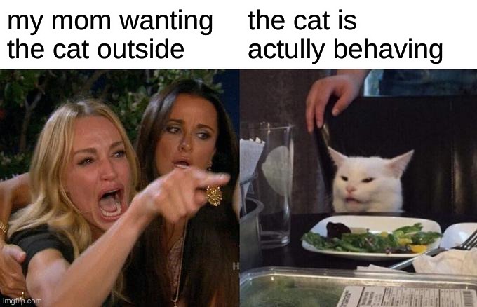 Woman Yelling At Cat Meme |  my mom wanting the cat outside; the cat is actully behaving | image tagged in memes,woman yelling at cat | made w/ Imgflip meme maker
