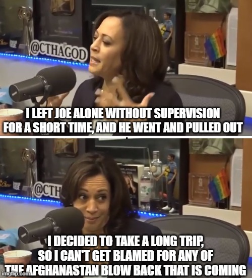Vice President Kamala Harris | I LEFT JOE ALONE WITHOUT SUPERVISION FOR A SHORT TIME, AND HE WENT AND PULLED OUT; I DECIDED TO TAKE A LONG TRIP, SO I CAN'T GET BLAMED FOR ANY OF THE AFGHANASTAN BLOW BACK THAT IS COMING | image tagged in hiding,politics,conspiracy theories,down fall of america,who's running the country,united states | made w/ Imgflip meme maker