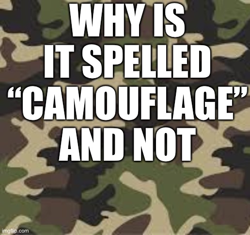 ? | WHY IS IT SPELLED “CAMOUFLAGE” AND NOT | image tagged in camouflage,spelling | made w/ Imgflip meme maker