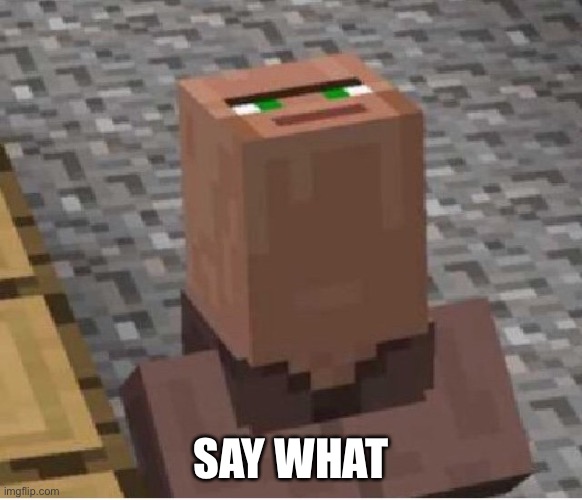 Minecraft Villager Looking Up | SAY WHAT | image tagged in minecraft villager looking up | made w/ Imgflip meme maker