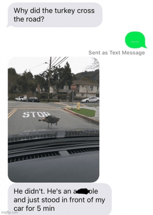 … | image tagged in turkey,road | made w/ Imgflip meme maker
